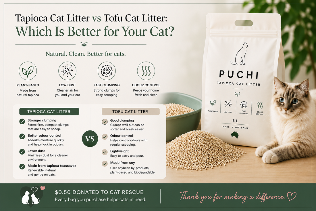 Tapioca Cat Litter vs Tofu Cat Litter: Which Is Better?