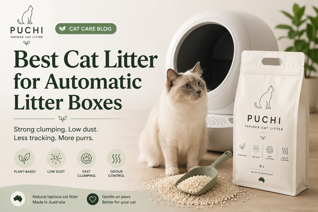 Best Cat Litter for Automatic Litter Boxes in Australia (2026 Guide)