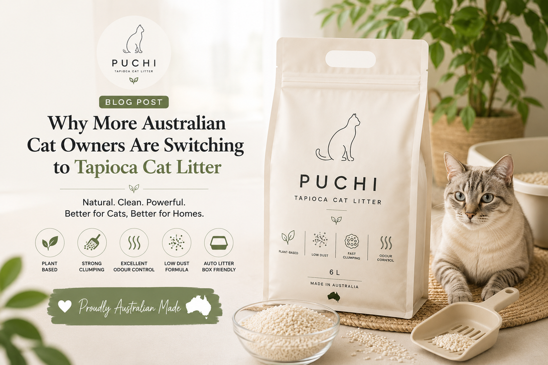 Why More Australian Cat Owners Are Switching to Tapioca Cat Litter