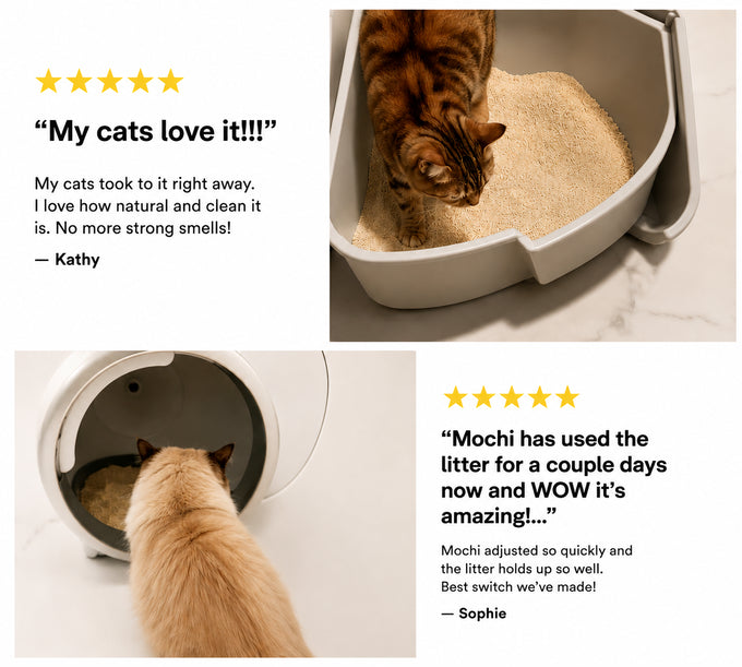 Puchi cat litter customer reviews